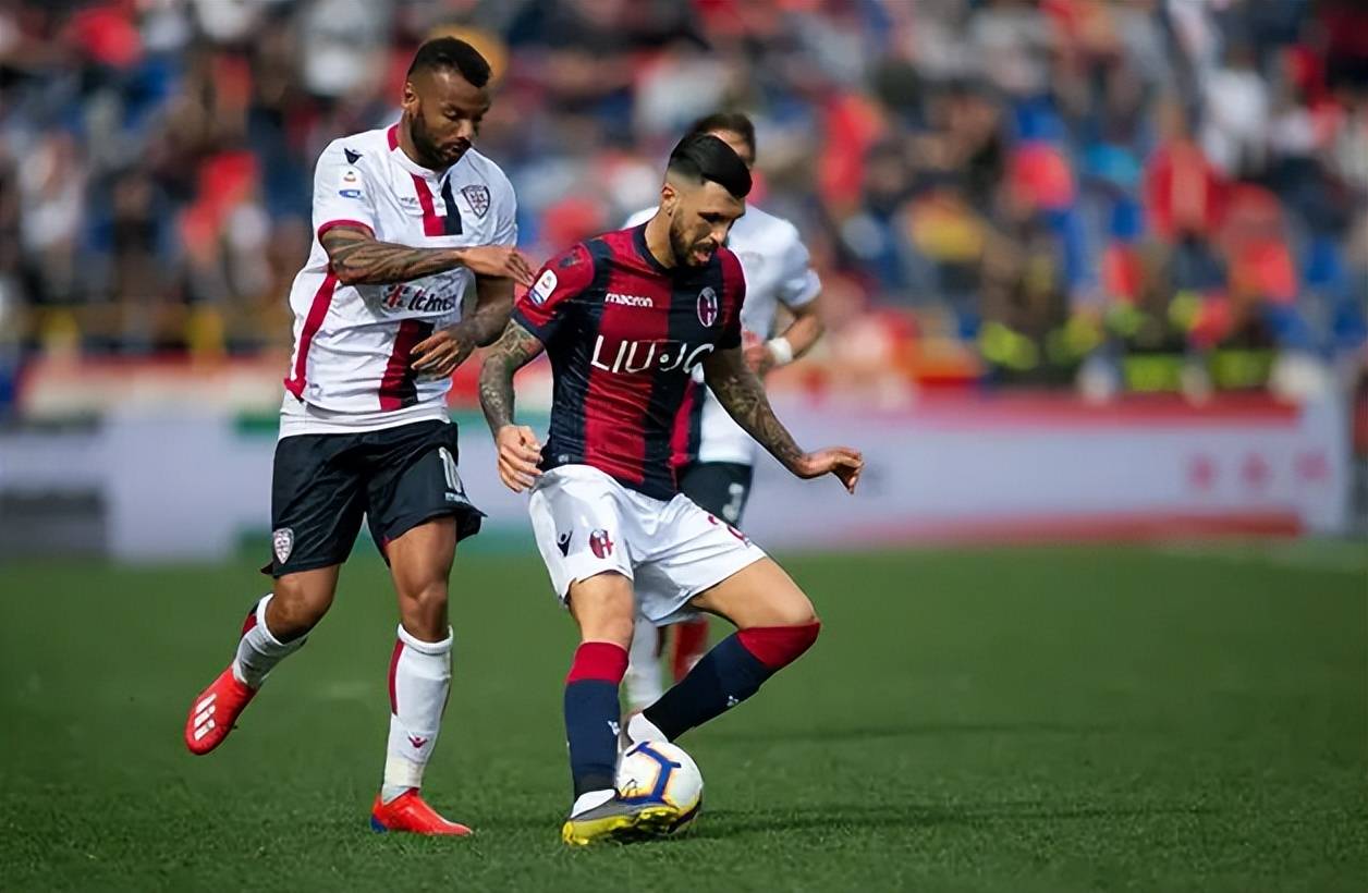 条大龙的胜 条大龙的胜